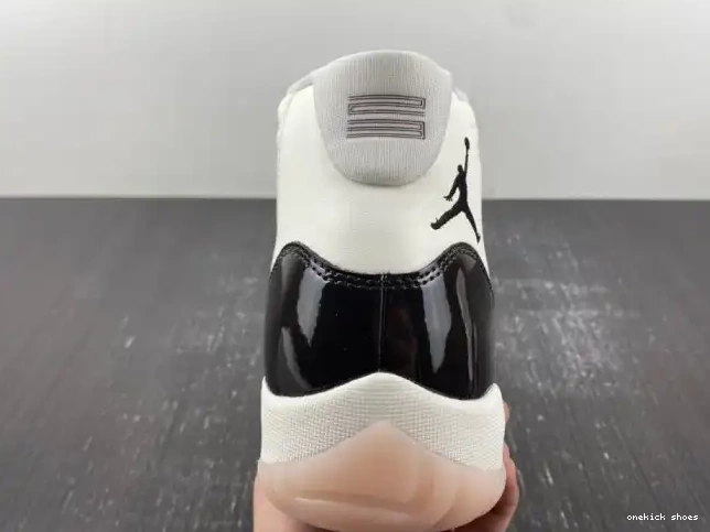 Rep Onekick AR0715-101 Neapolitan 11 Jordan Air 0209