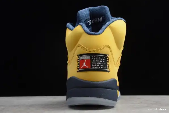 Rep Onekick 5 Jordan SP Air Michigan CQ9541-704 (Inspire) 0225