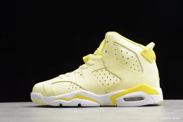 Rep Onekick 6 543390-800 Air (GS) Floral Retro Jordan Dynamic Yellow 0212