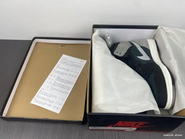 Rep Onekick Grey Jordan Black High Gore-Tex Element Retro 1 DB2889-001 Particle 0223