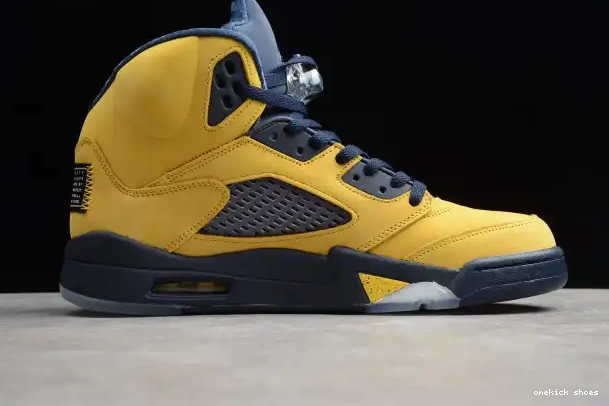 Rep Onekick 5 Jordan SP Air Michigan CQ9541-704 (Inspire) 0225