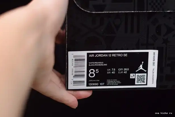 Chep Onekick (2019) Air 130690-107 12 Jordan 